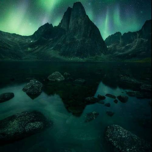 مرتضی محمدپور از جان گفتن تو جان میگیره قلبم مخمل زیبای من هی دورت بگردم